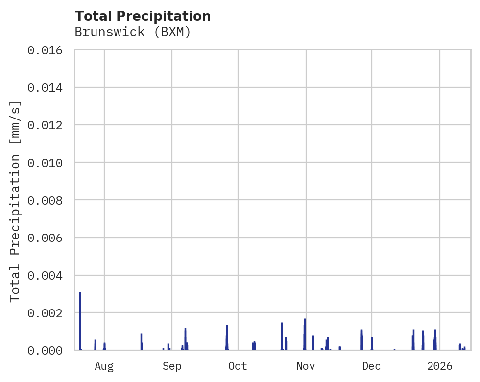 Precipitation obs for Brunswick